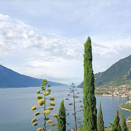 Centro Vacanze La Limonaia Limone sul Garda Exterior foto